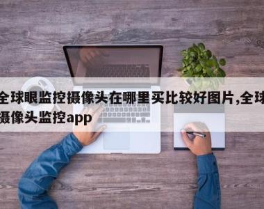 全球眼监控摄像头在哪里买比较好图片,全球摄像头监控app
