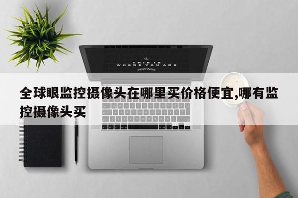 全球眼监控摄像头在哪里买价格便宜,哪有监控摄像头买